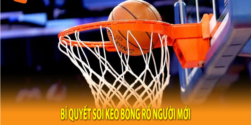 Bí quyết soi kèo bóng rổ người mới